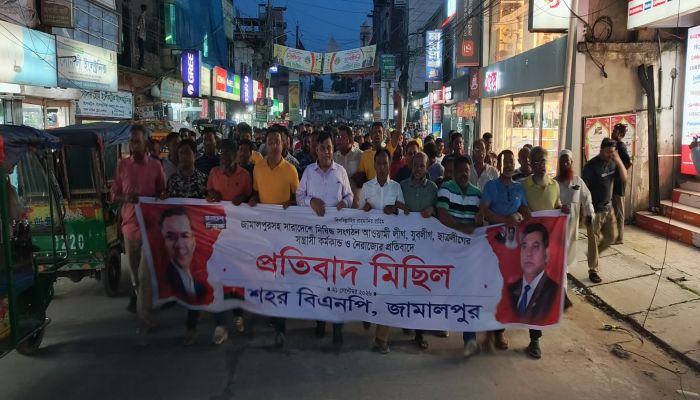 জামায়েতে ইসলামির নেতারা স্বৈরাচারের সাথে আঁতাত করেছেন- এমপি মামুন