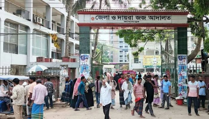 জামালপুরে যৌতুকের জন্য স্ত্রীকে নির্যাতনের দায়ে স্বামীর কারাদণ্ড