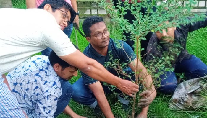 বৃক্ষরোপণে চীফ জুডিসিয়াল ম্যাজিস্ট্রেট মোহাম্মদ হাসান